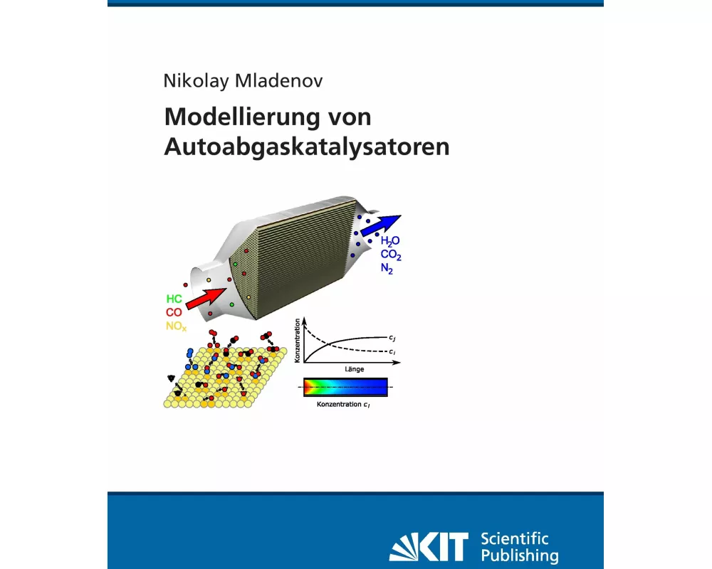 Modellierung von Autoabgaskatalysatoren