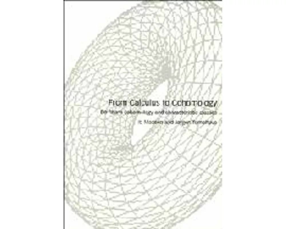 From Calculus to Cohomology