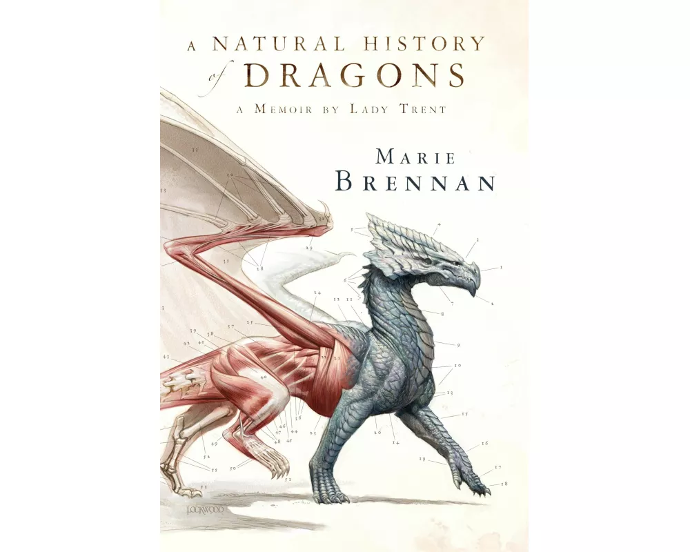 A Natural History of Dragons
