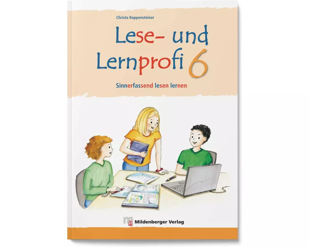 Lese- und Lernprofi 6 - Schülerarbeitsheft - silbierte Ausgabe