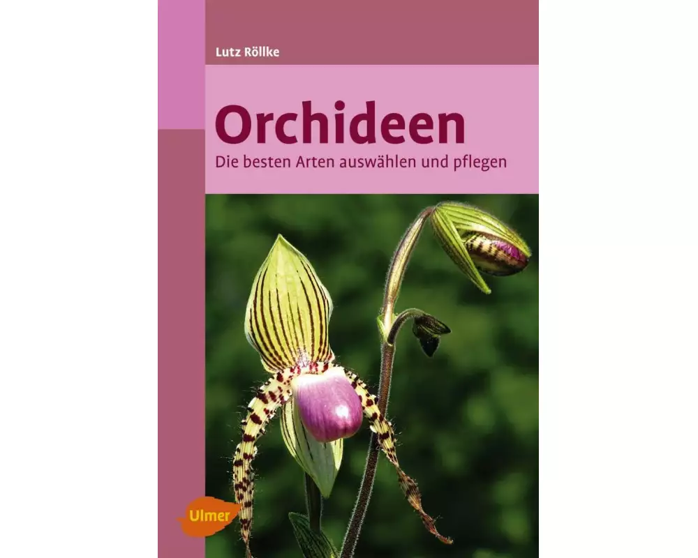 Orchideen