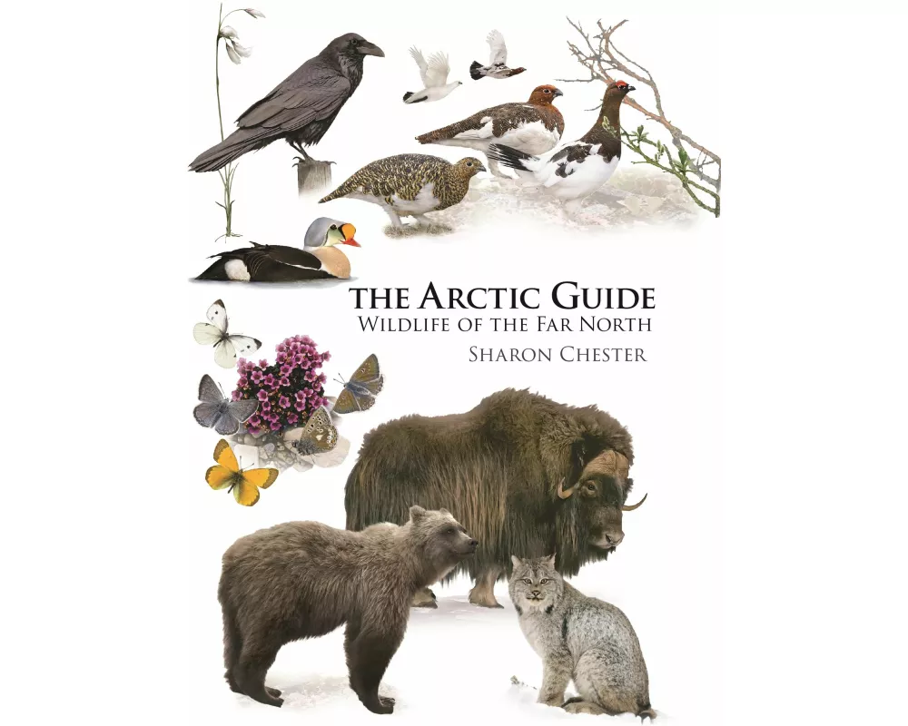 The Arctic Guide