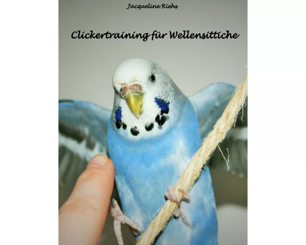 Clickertraining für Wellensittiche