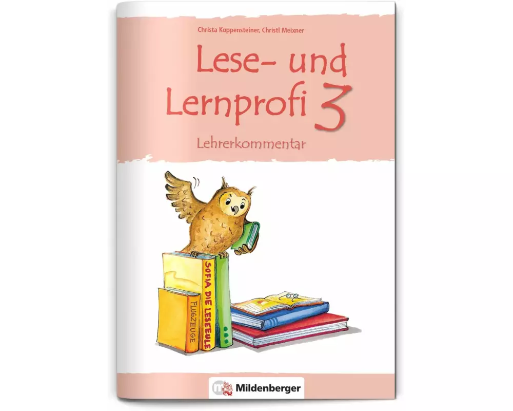 Lese- und Lernprofi 3