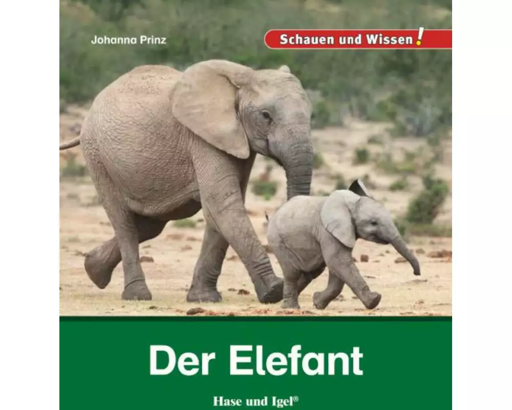 Der Elefant