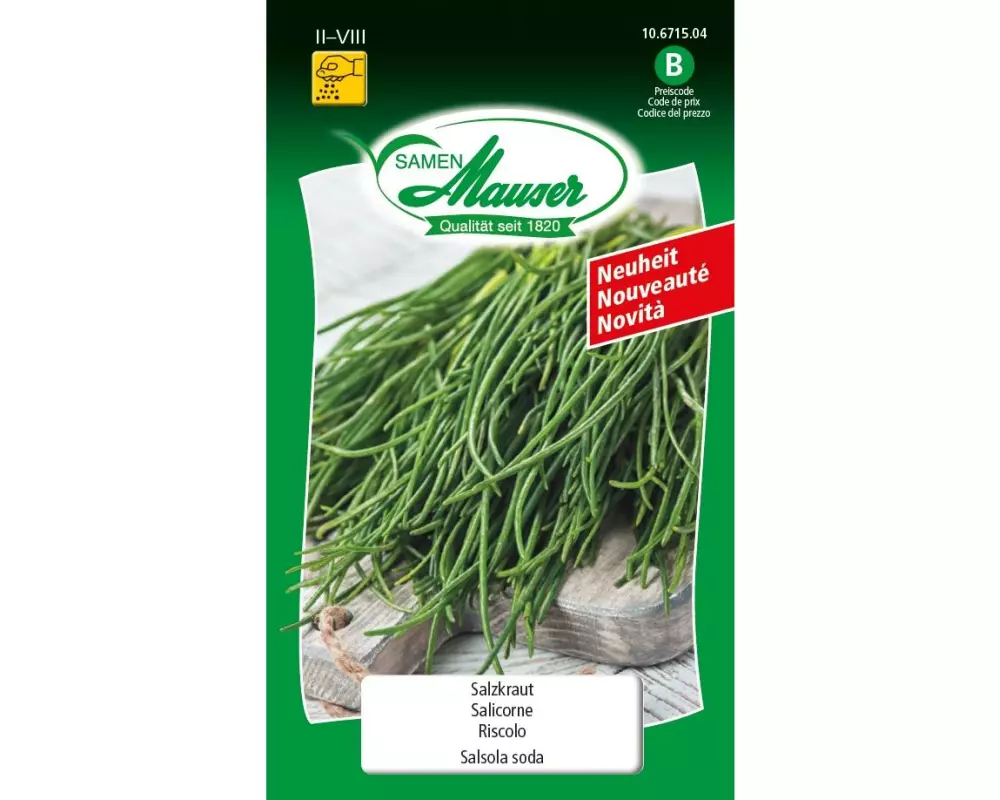 Samen Mauser Samen Salzkraut