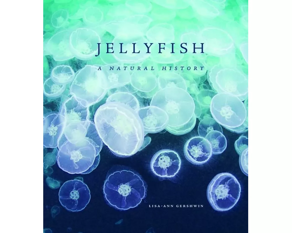 Jellyfish