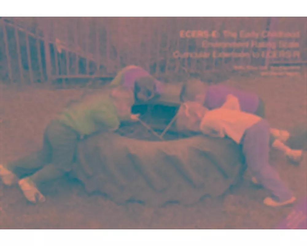 ECERS-E: The Early Childhood Environment Rating Scale Curricular Extension to ECERS-R