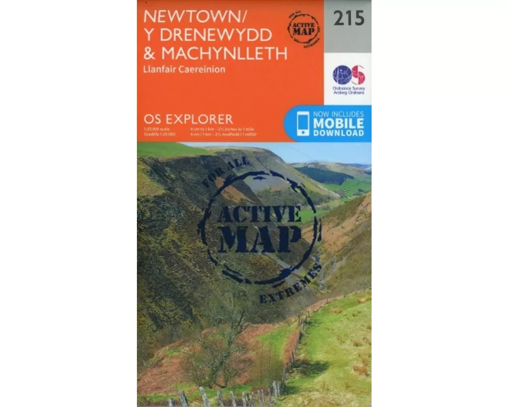 Newtown, Llanfair Caereinion