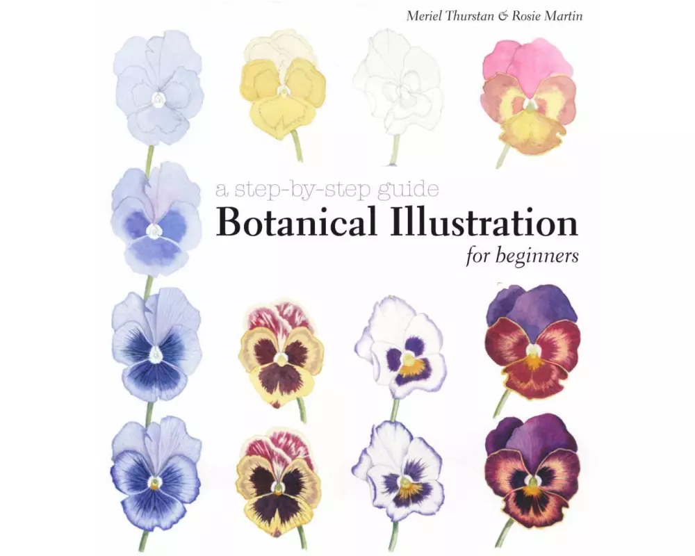 Botanical Illustration for Beginners