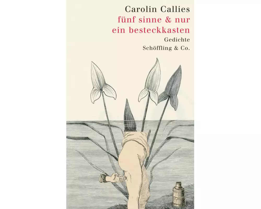 fünf sinne & nur ein besteckkasten