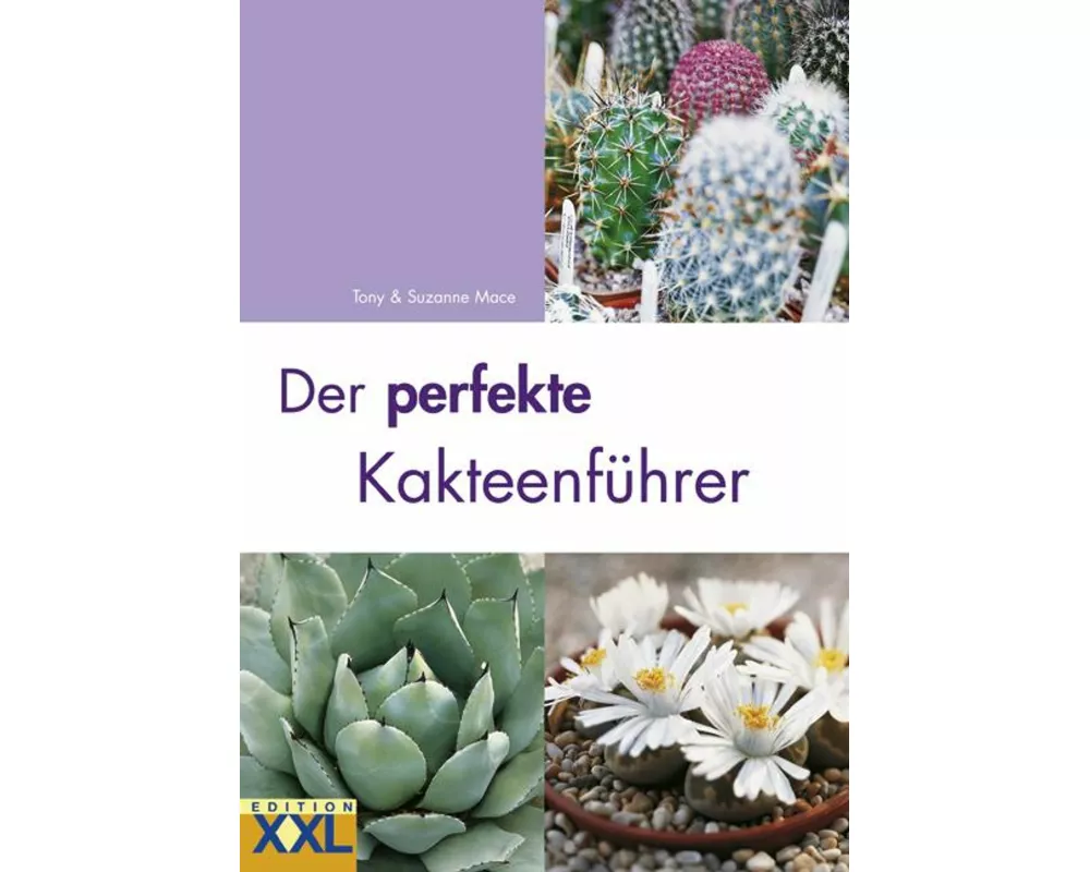 Der perfekte Kakteenführer