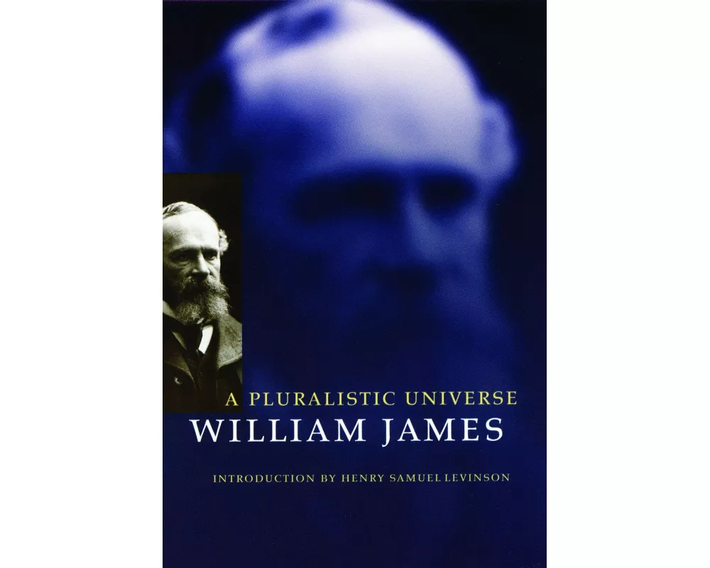 A Pluralistic Universe