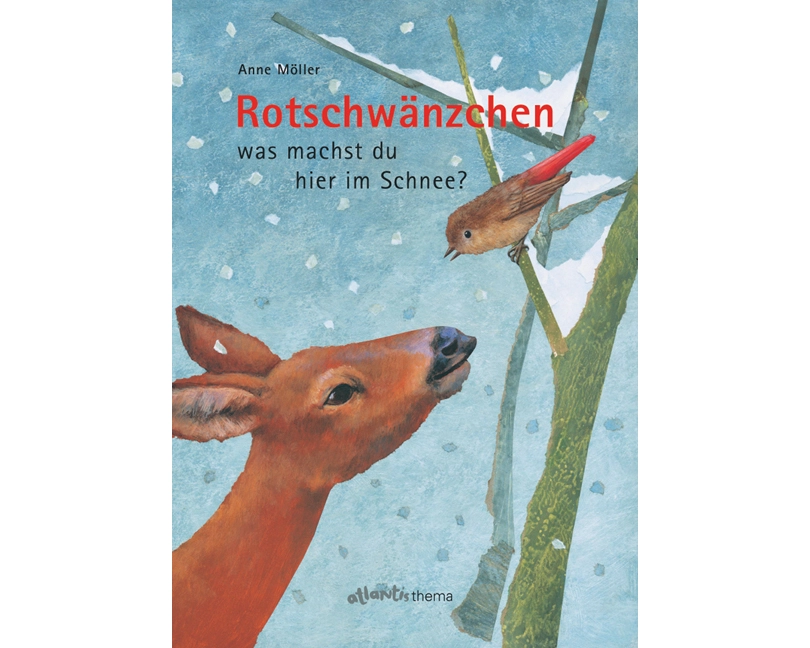 Rotschwänzchen - was machst du hier im Schnee?