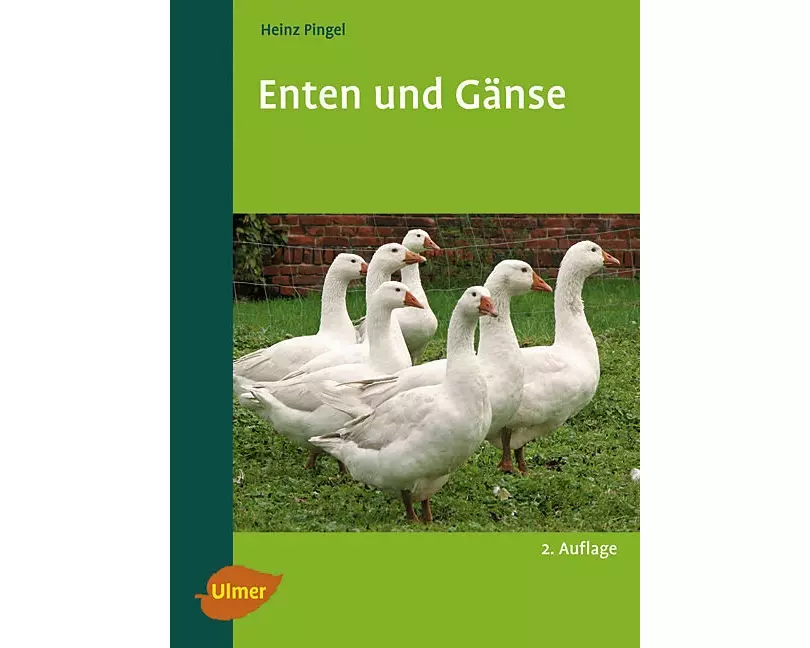Enten und Gänse