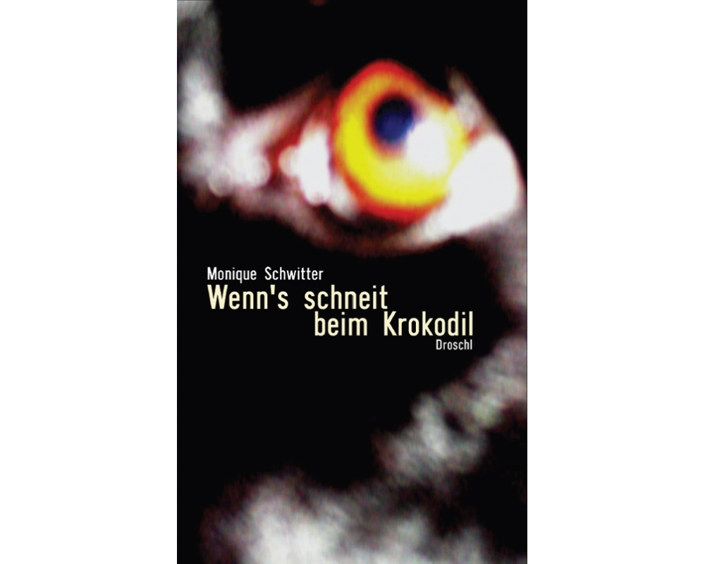 Wenn's schneit beim Krokodil