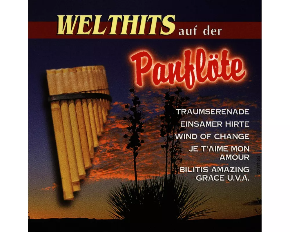 Welthits auf der Panflöte