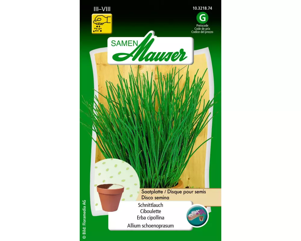 Samen Mauser Saatplatte Urban Gardening Schnittlauch