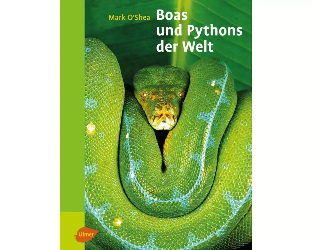 Boas und Pythons der Welt