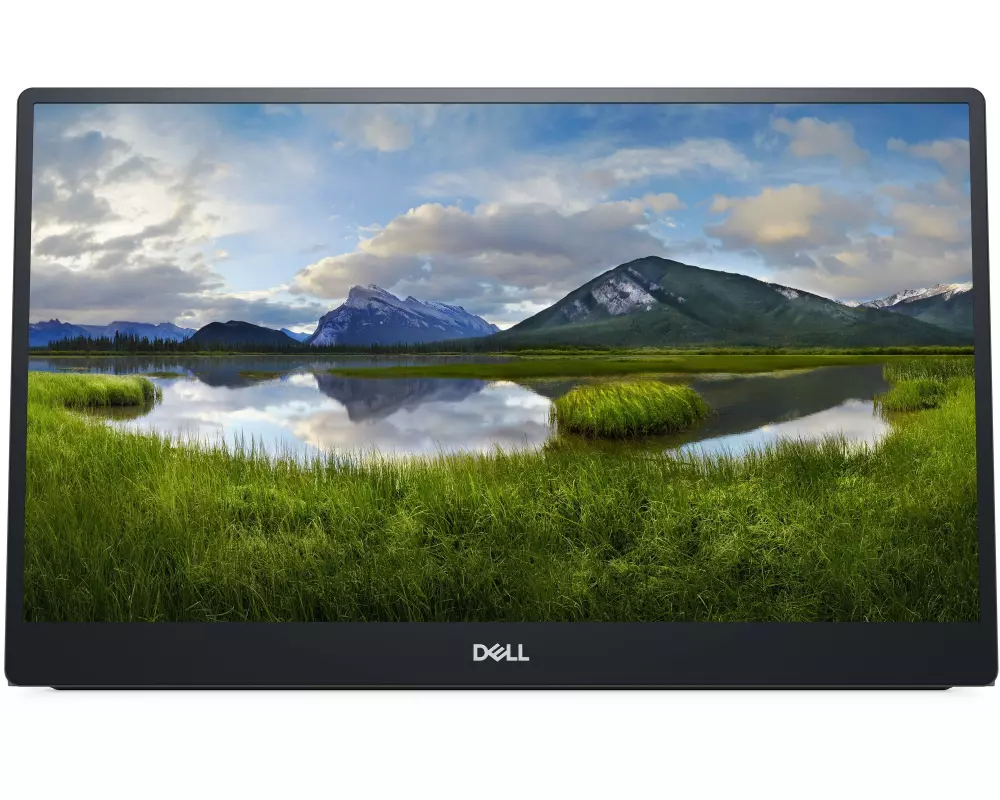 DELL Monitor P1424H USB-C