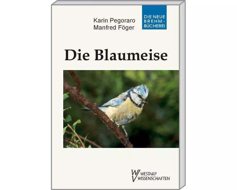 Die Blaumeise