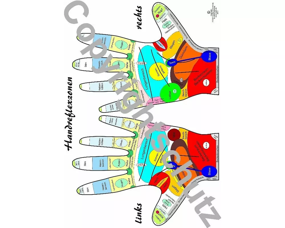 Reflexzonenübersicht - Hände