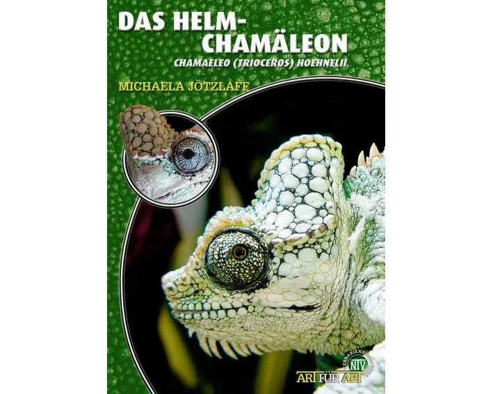 Das Helmchamäleon
