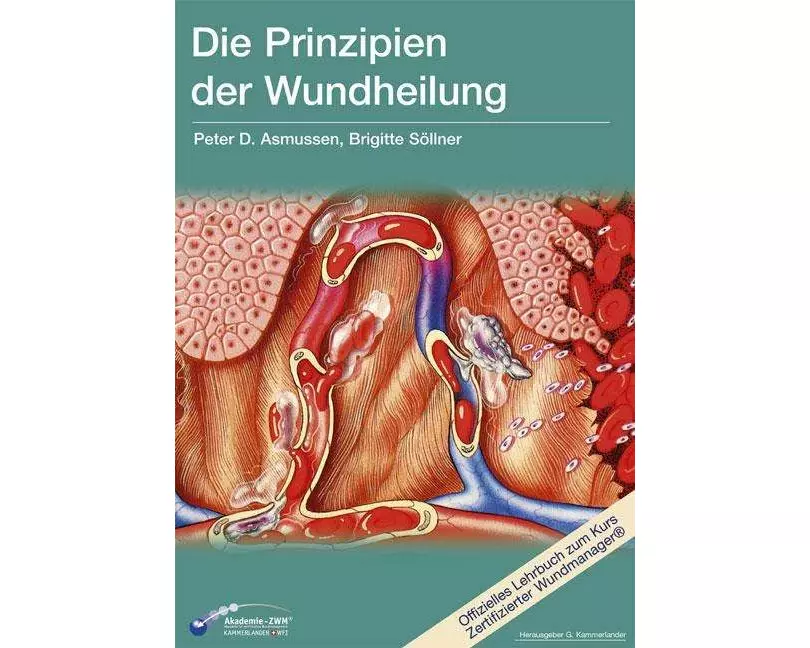 Die Prinzipien der Wundheilung