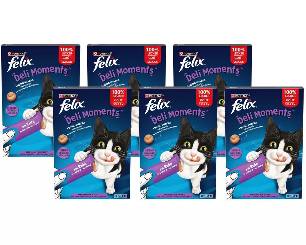 Felix Katzen-Snack Deli Moments Ente 6x 4 x 10g