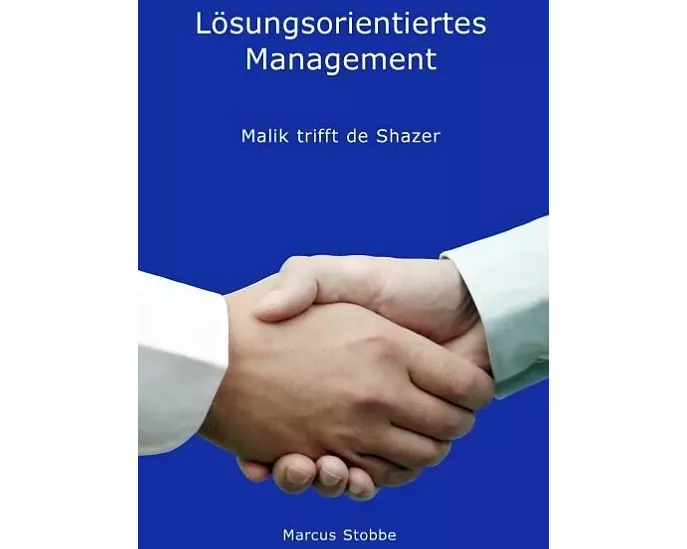 Lösungsorientiertes management
