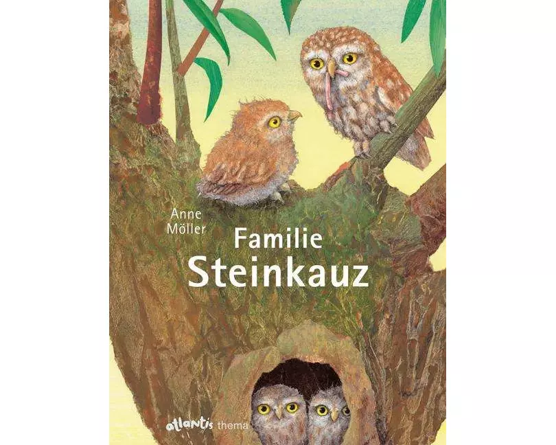 Familie Steinkauz