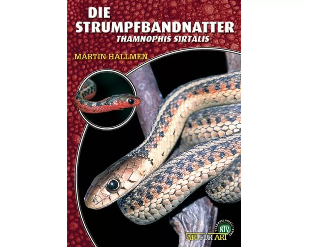 Die Strumpfbandnatter