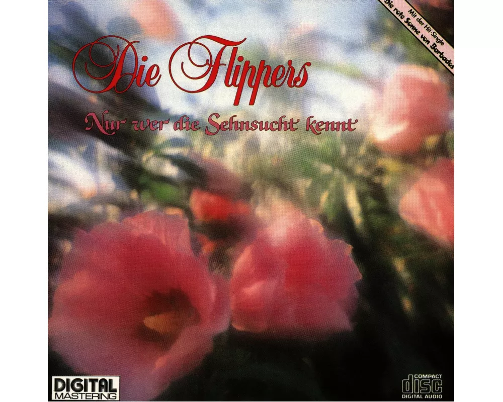 Nur Wer Die Sensucht Kennt