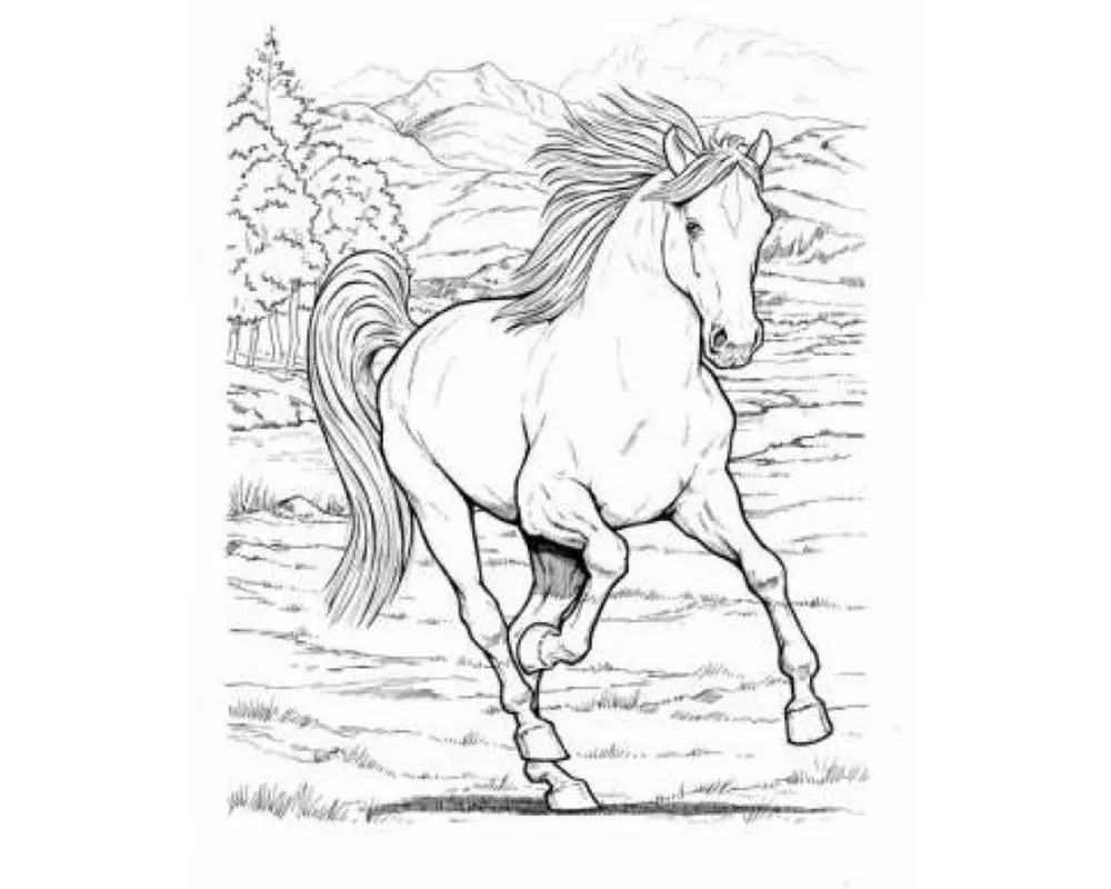 Wonderful World of Horses Coloring Book
