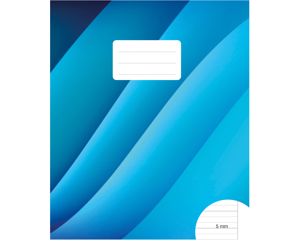 BÜROLINE Schulheft E5 533875007 5/5/5mm liniert mit Rahmen 90g