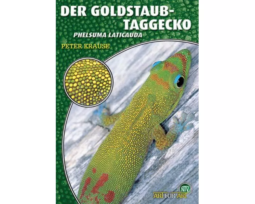 Der Goldstaub-Taggecko