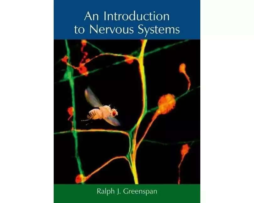 An Introduction to Nervous Systems
