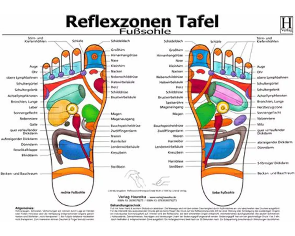 Fussreflexzonen Tafel. Fusssohle. DIN A3