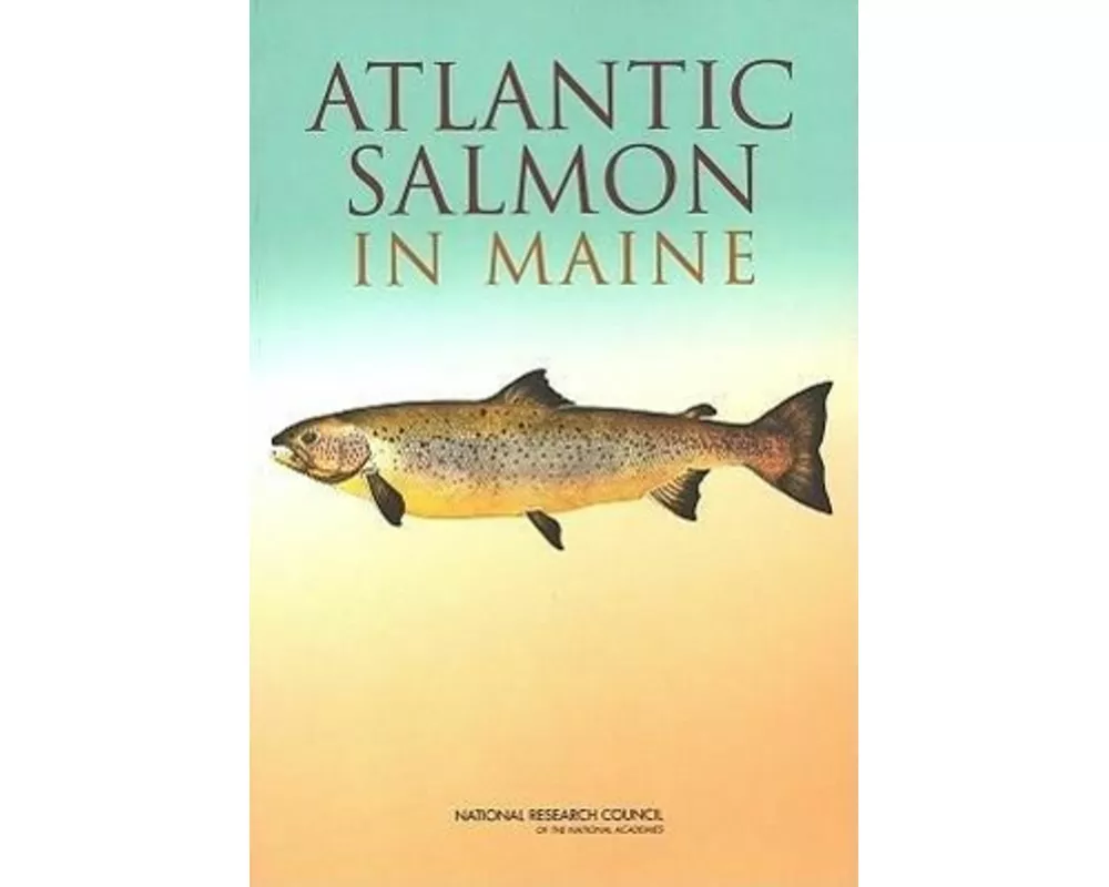 Atlantic Salmon in Maine