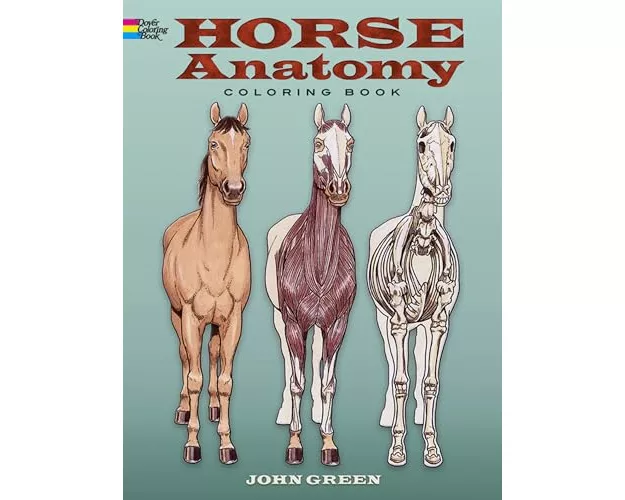Horse Anatomy Coloring Book