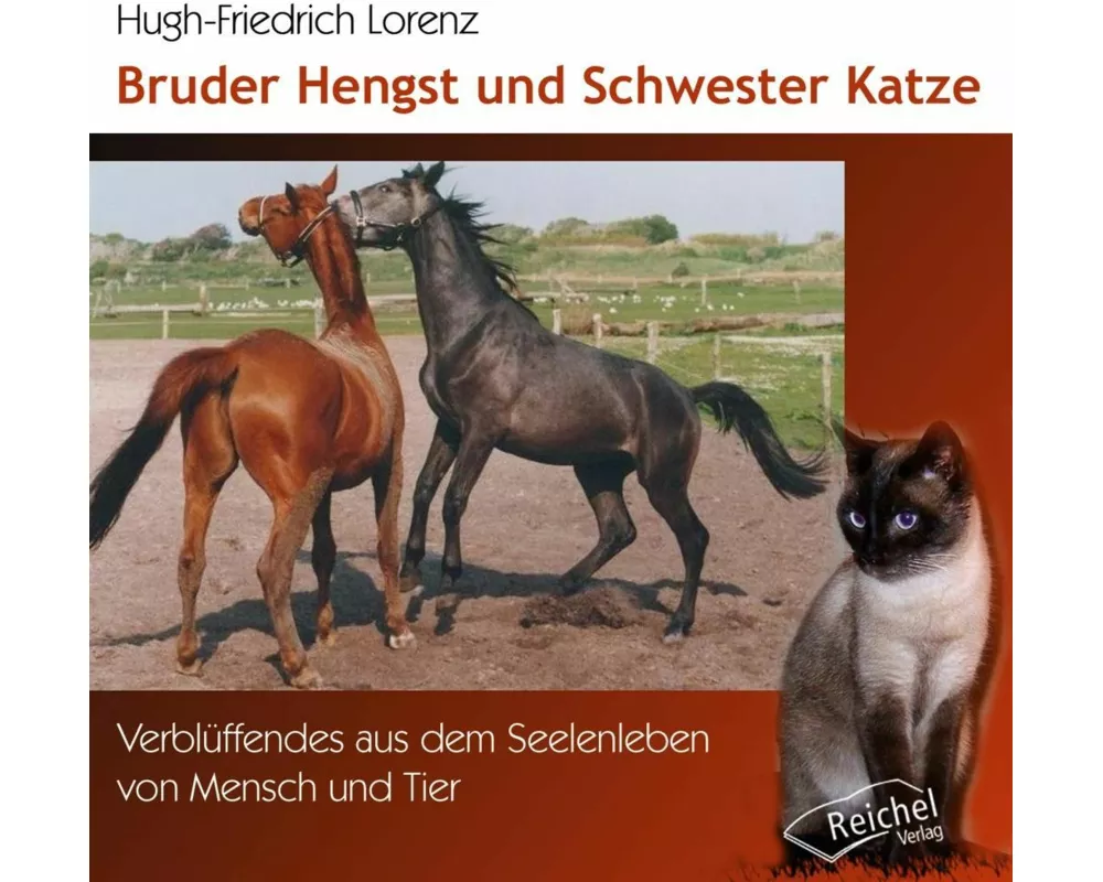 Bruder Hengst und Schwester Katze