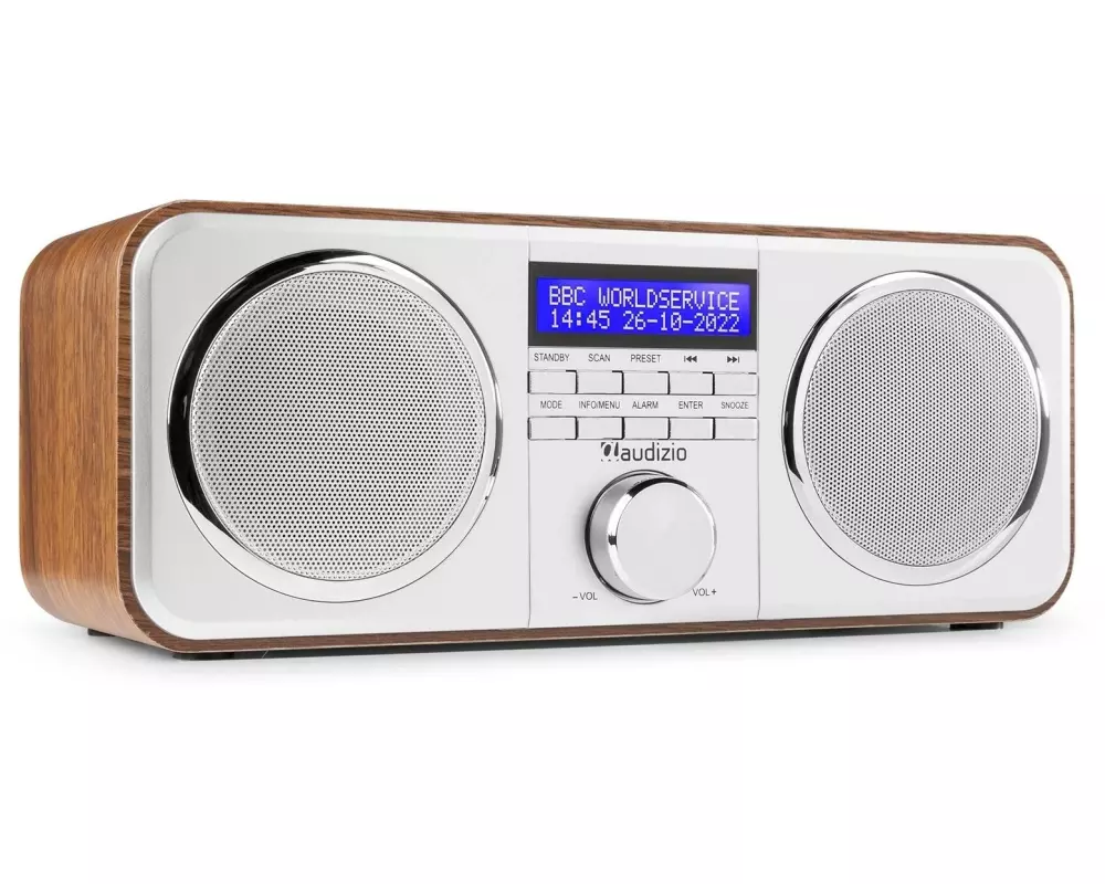Audizio DAB+ Radio Novara Silber