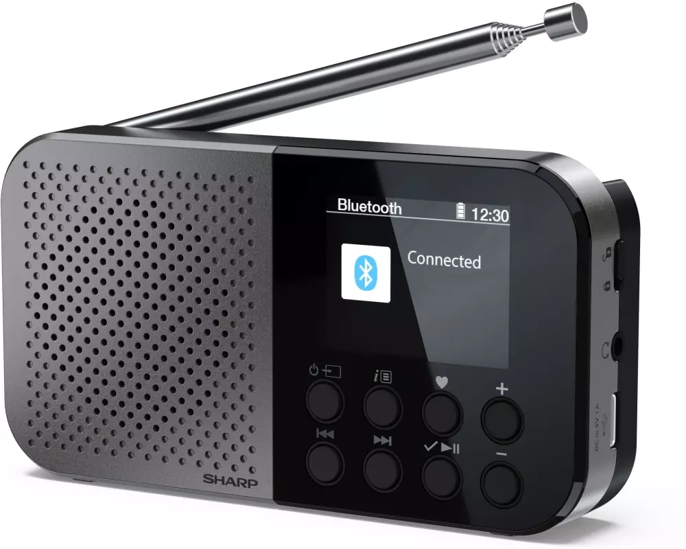 Sharp DAB+ Radio DR-P520 Grau