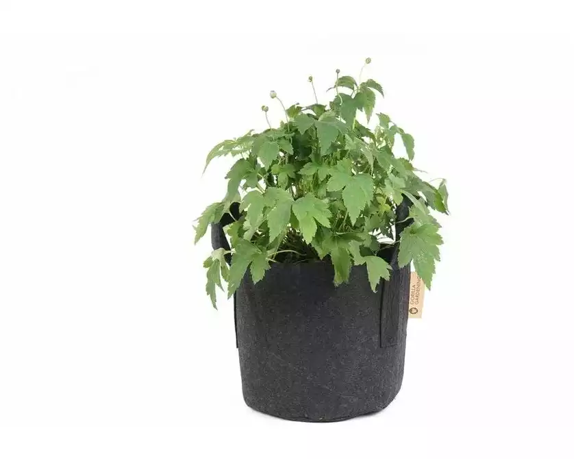 Gorilla Gardening Pflanzsack Schwarz