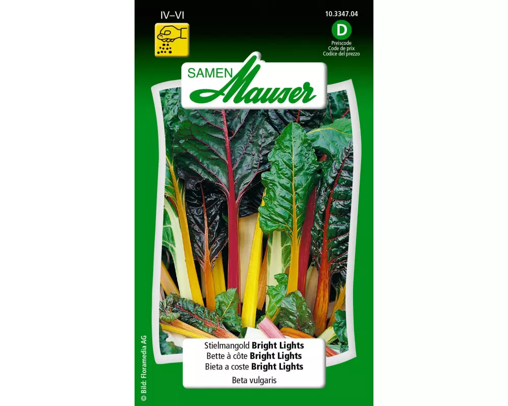 Samen Mauser Samen Stielmangold Bright Lights