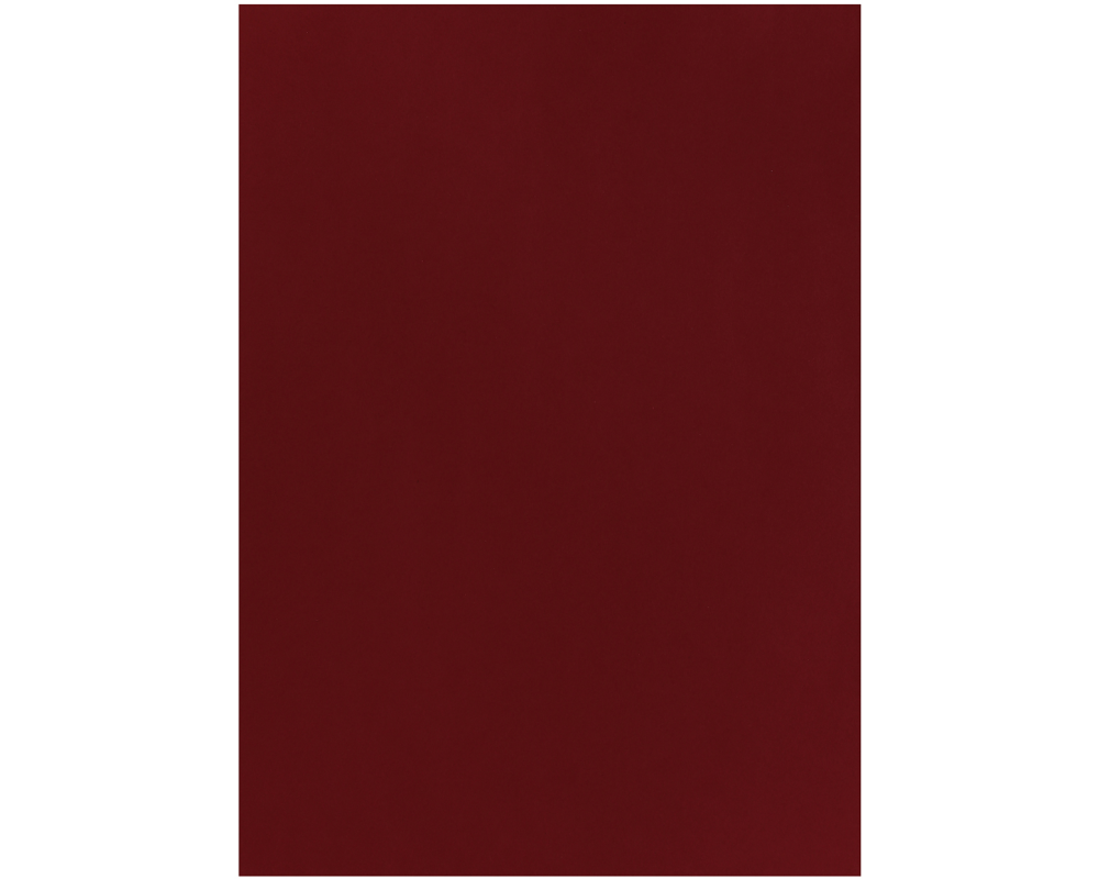 I AM CREATIVE Fotokarton 50x70cm MPA2902498328 270g, rubinrot