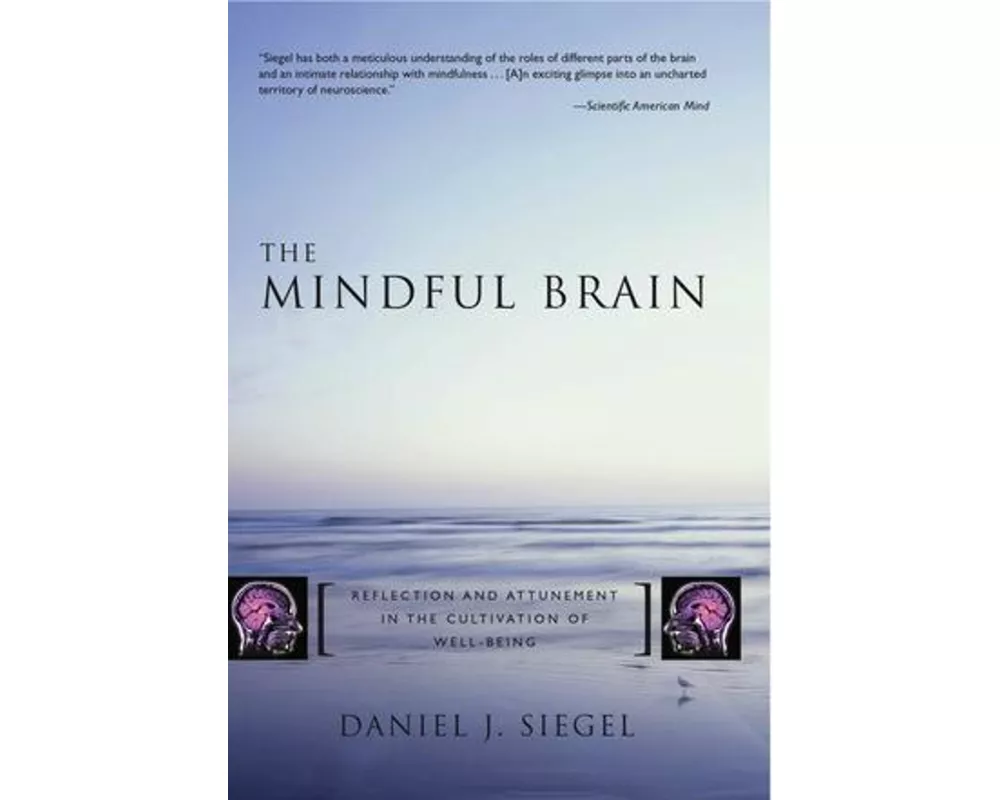 The Mindful Brain