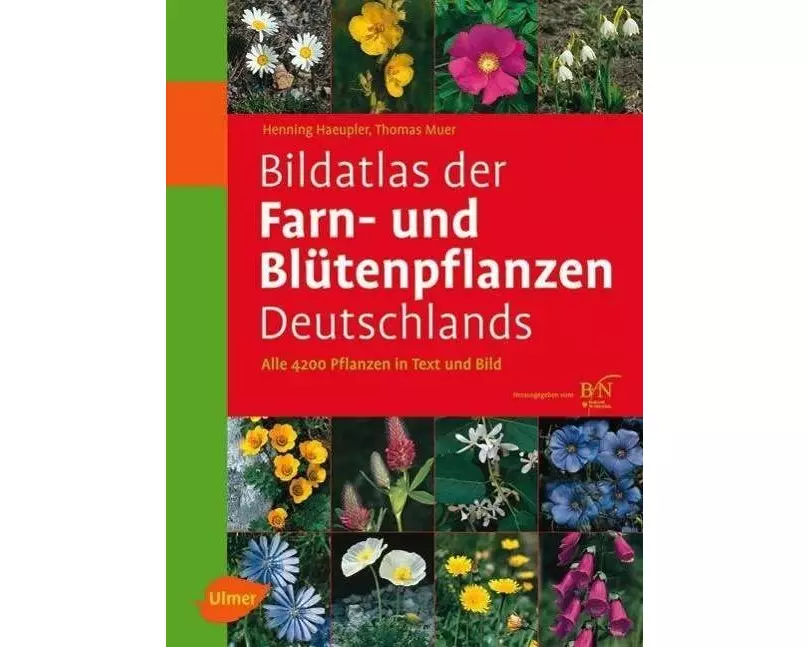 Bildatlas der Farn- und Blütenpflanzen Deutschlands