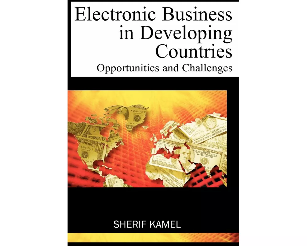 Electronic Business in Developing Countries