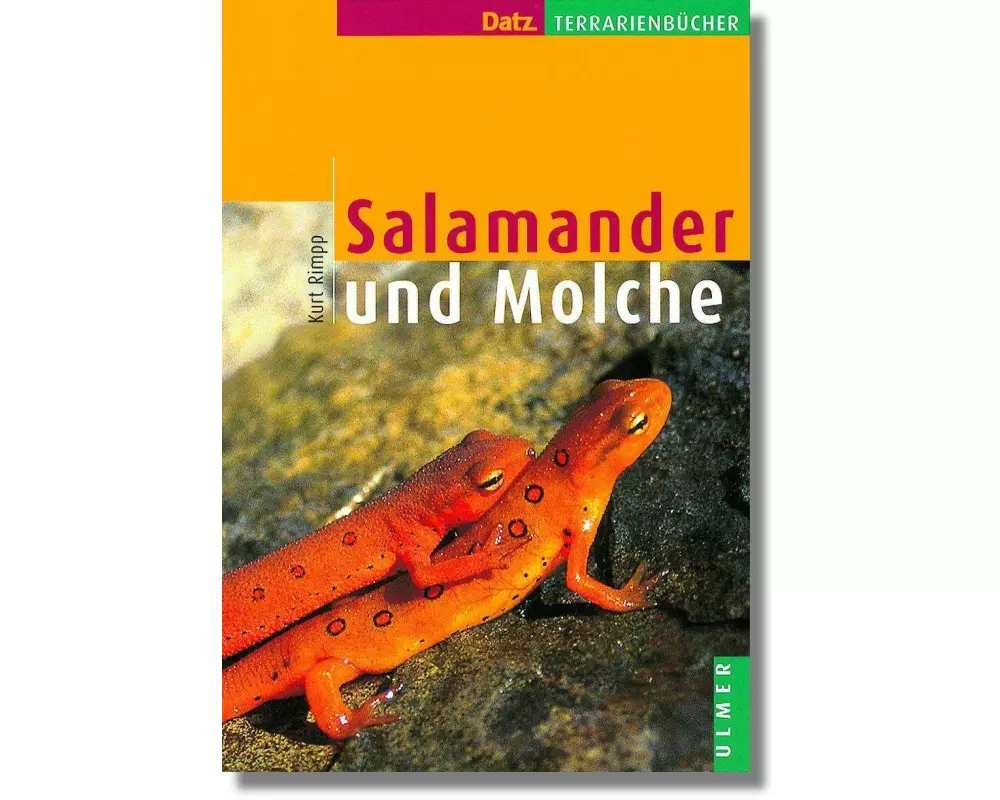 Salamander und Molche